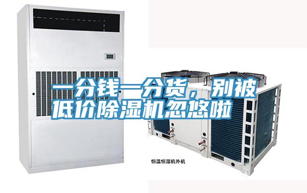 一分錢一分貨，別被低價除濕機忽悠啦