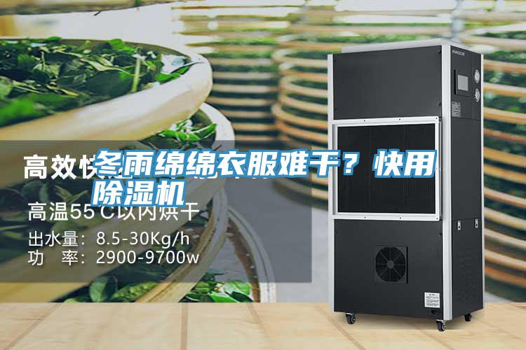 冬雨綿綿衣服難干？快用除濕機