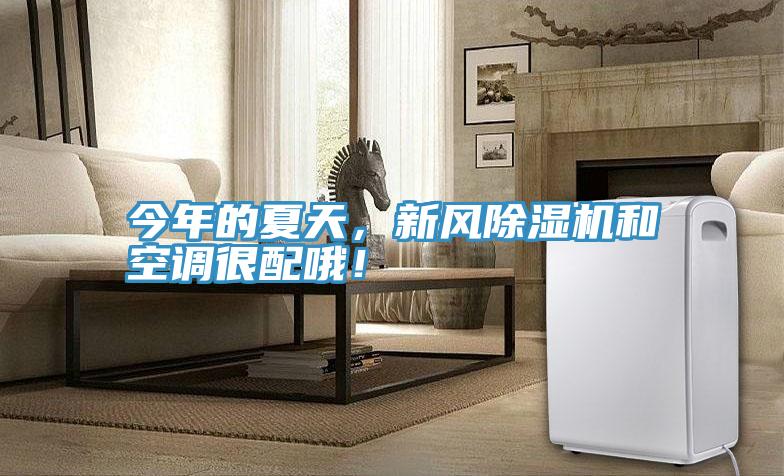 今年的夏天,新風(fēng)除濕機和空調(diào)很配哦!