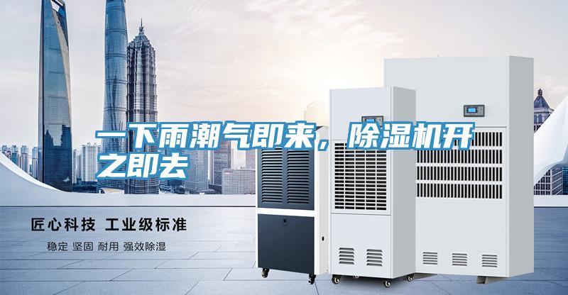 一下雨潮氣即來，除濕機開之即去