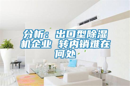分析：出口型除濕機(jī)企業(yè) 轉(zhuǎn)內(nèi)銷(xiāo)難在何處