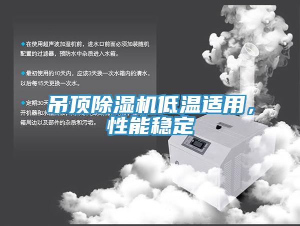 吊頂除濕機低溫適用，性能穩定