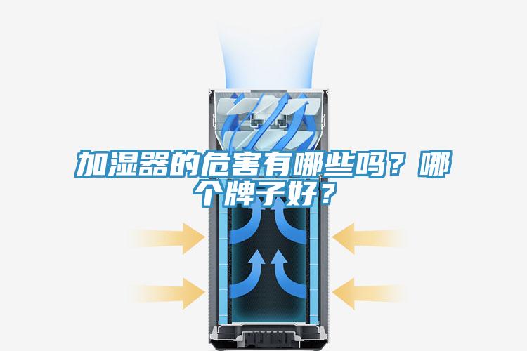加濕器的危害有哪些嗎？哪個牌子好？