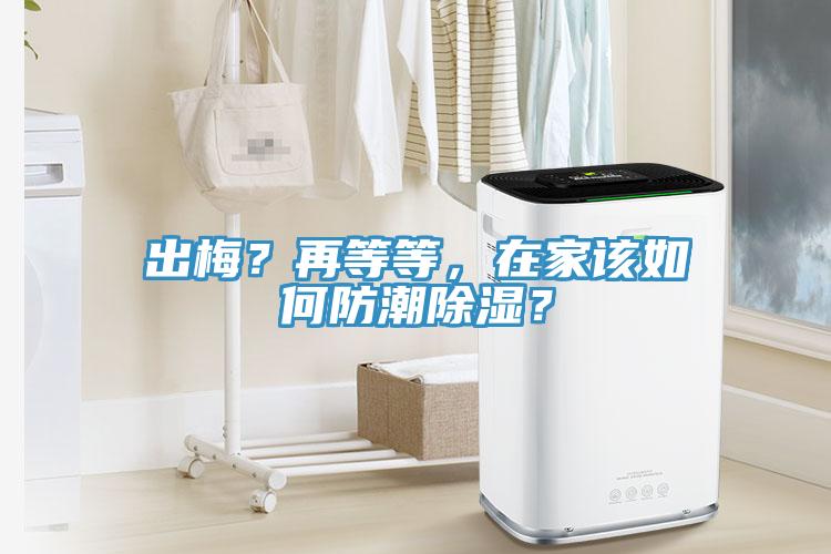 出梅？再等等，在家該如何防潮除濕？
