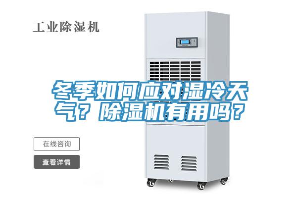 冬季如何應對濕冷天氣？除濕機有用嗎？