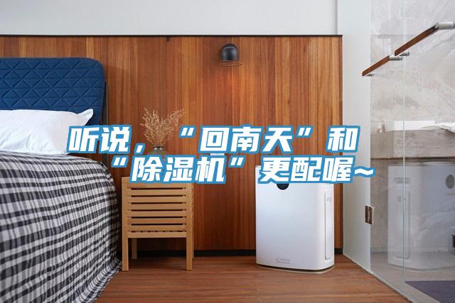 聽說，“回南天”和“除濕機”更配喔~
