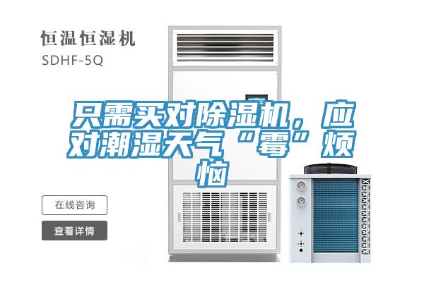 只需買對(duì)除濕機(jī)，應(yīng)對(duì)潮濕天氣“霉”煩惱