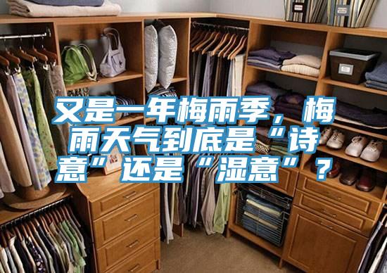 又是一年梅雨季，梅雨天氣到底是“詩意”還是“濕意”？