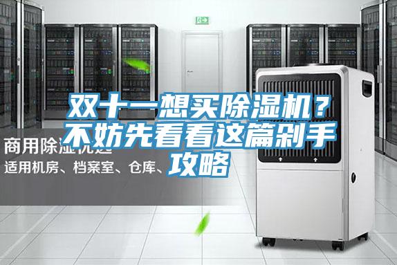 雙十一想買(mǎi)除濕機(jī)？不妨先看看這篇剁手攻略