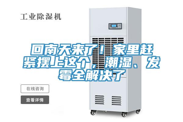 回南天來了!家里趕緊擺上這個,潮濕、發(fā)霉全解決了