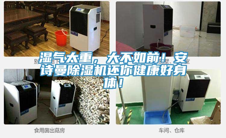濕氣太重，大不如前！安詩曼除濕機還你健康好身體！