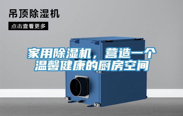 家用除濕機，營造一個溫馨健康的廚房空間