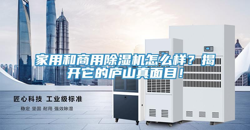 家用和商用除濕機怎么樣？揭開它的廬山真面目！