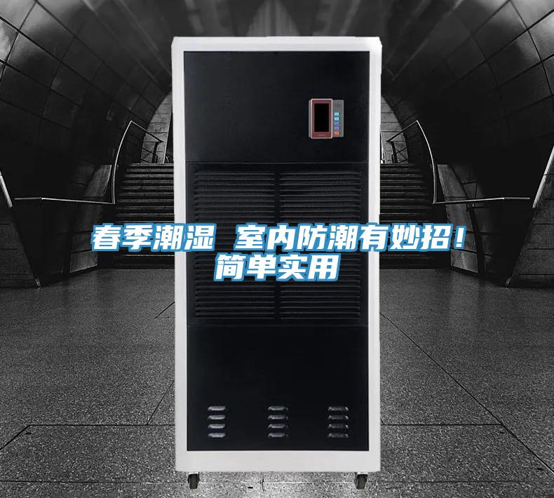 春季潮濕 室內(nèi)防潮有妙招！簡單實(shí)用