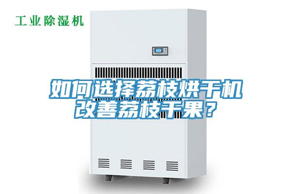 如何選擇荔枝烘干機改善荔枝干果？