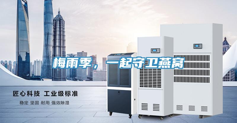 梅雨季，一起守衛燕窩