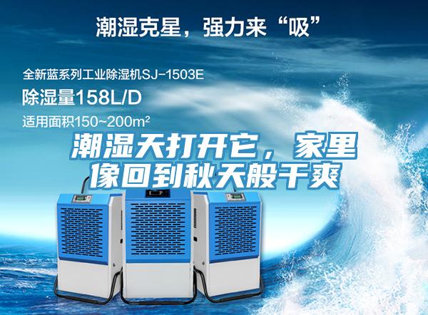 潮濕天打開它，家里像回到秋天般干爽