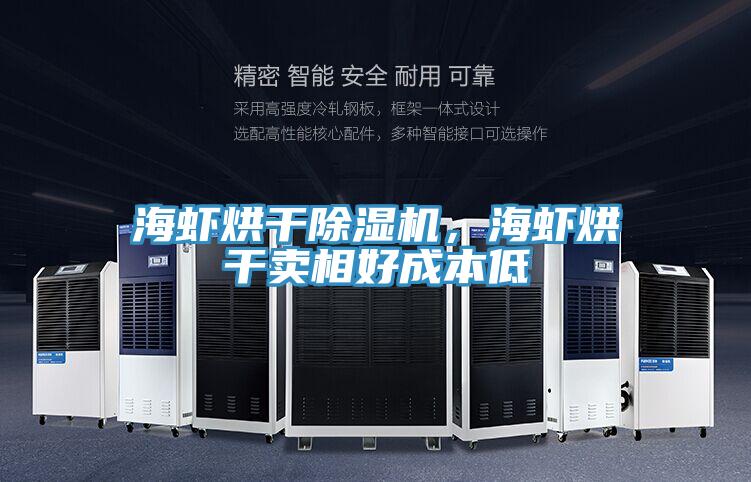 海蝦烘干除濕機(jī)，海蝦烘干賣相好成本低