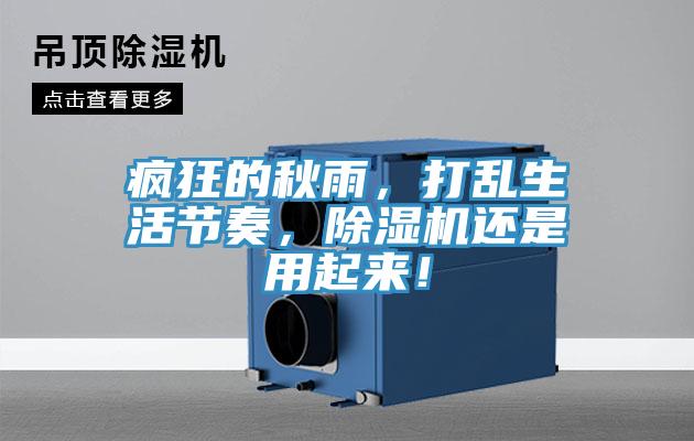 瘋狂的秋雨，打亂生活節(jié)奏，除濕機(jī)還是用起來(lái)！