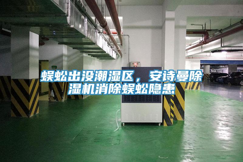 蜈蚣出沒潮濕區，安詩曼除濕機消除蜈蚣隱患