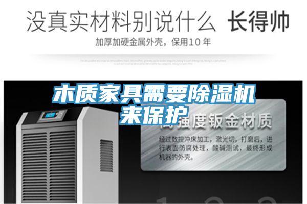 木質(zhì)家具需要除濕機來保護(hù)