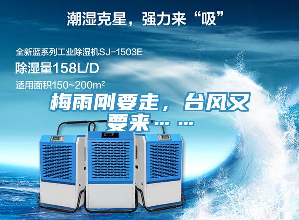 梅雨剛要走，臺(tái)風(fēng)又要來……