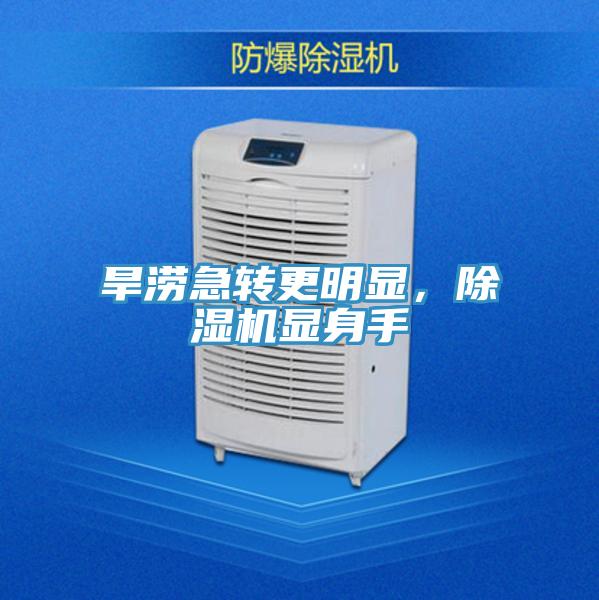 旱澇急轉更明顯，除濕機顯身手