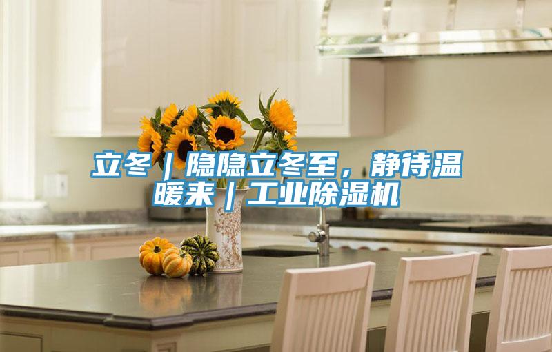 立冬｜隱隱立冬至，靜待溫暖來｜工業除濕機