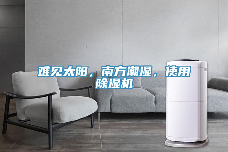 難見太陽，南方潮濕，使用除濕機