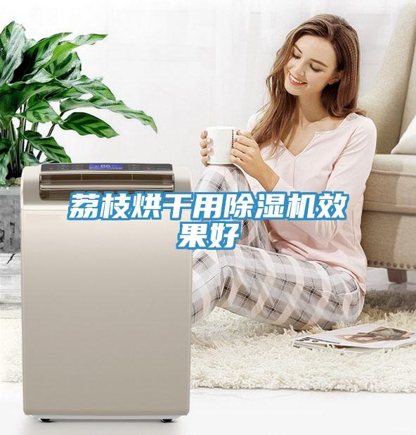 荔枝烘干用除濕機效果好