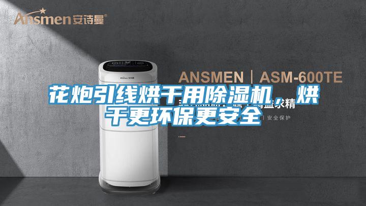 花炮引線烘干用除濕機，烘干更環(huán)保更安全