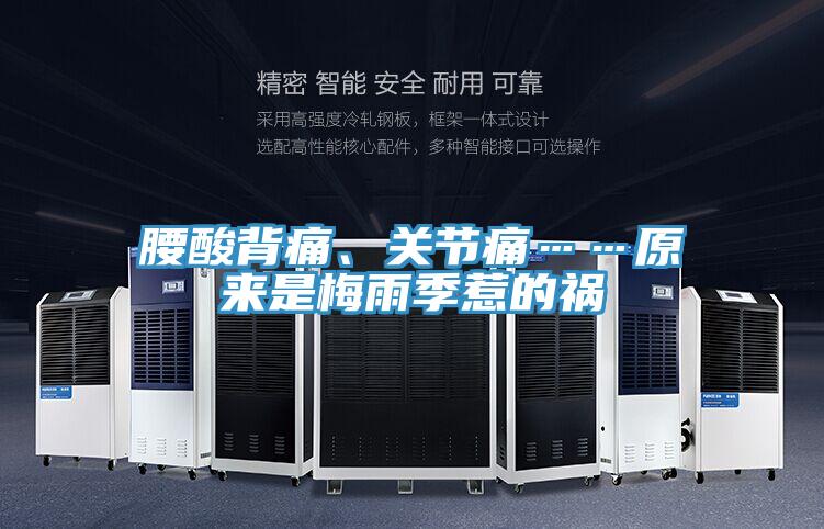 腰酸背痛、關節痛……原來是梅雨季惹的禍