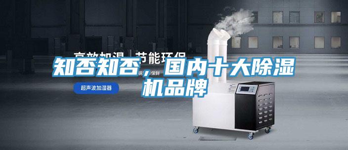 知否知否，國內(nèi)十大除濕機品牌