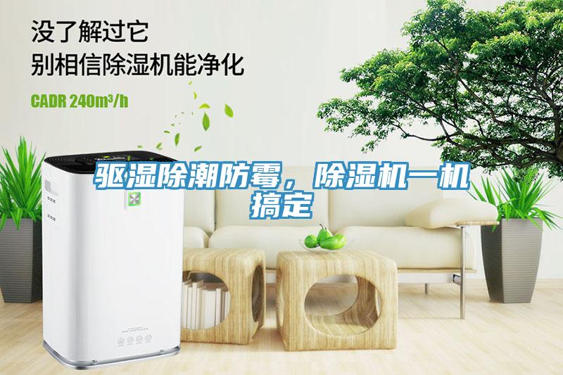 驅濕除潮防霉，除濕機一機搞定
