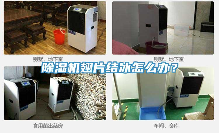 除濕機翅片結(jié)冰怎么辦？