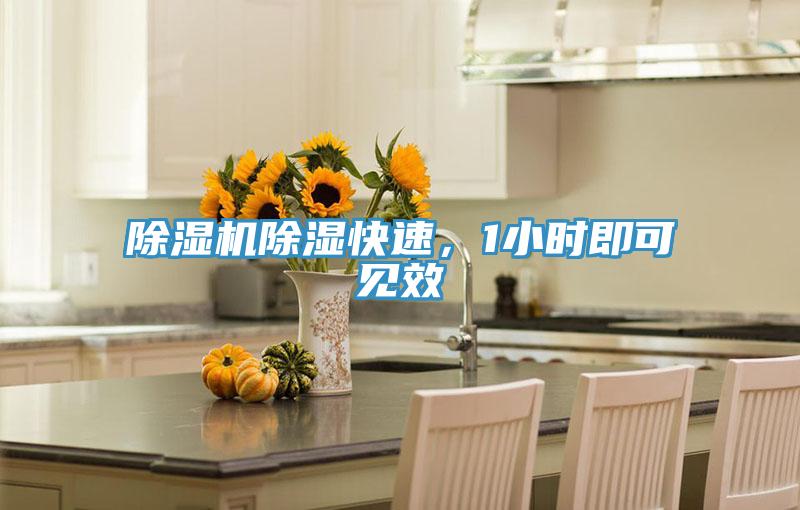 除濕機除濕快速，1小時即可見效