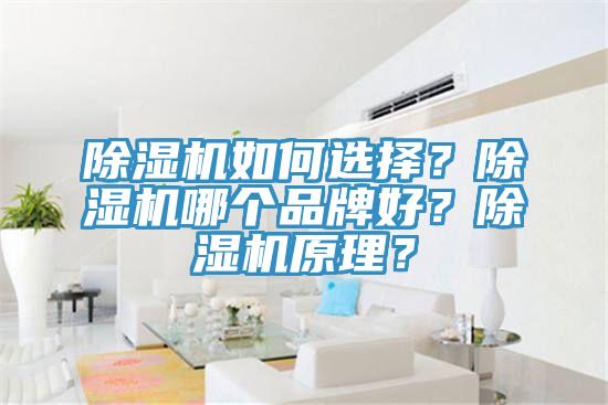 除濕機如何選擇？除濕機哪個品牌好？除濕機原理？