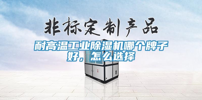 耐高溫工業(yè)除濕機哪個牌子好，怎么選擇