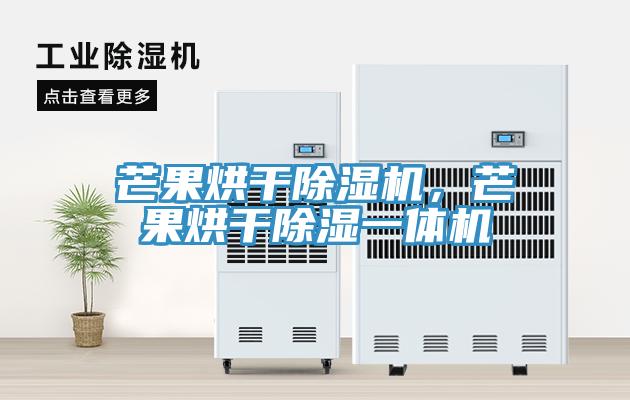 芒果烘干除濕機，芒果烘干除濕一體機