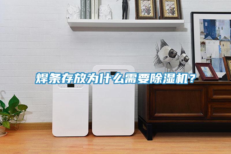 焊條存放為什么需要除濕機？