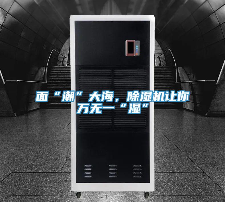 面“潮”大海，除濕機讓你萬無一“濕”