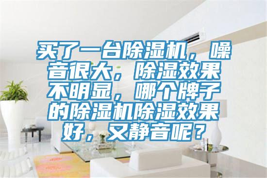 買了一臺除濕機，噪音很大，除濕效果不明顯，哪個牌子的除濕機除濕效果好，又靜音呢？