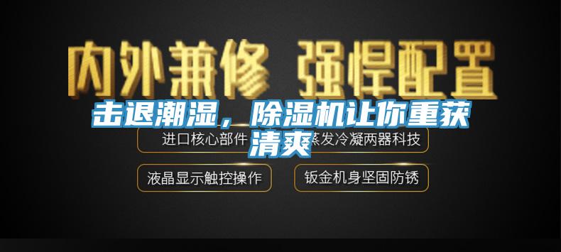 擊退潮濕，除濕機讓你重獲清爽