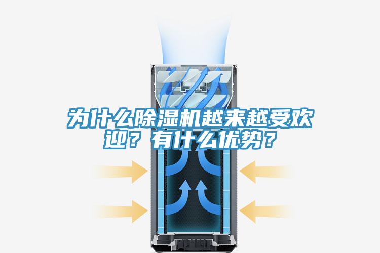 為什么除濕機(jī)越來越受歡迎？有什么優(yōu)勢？