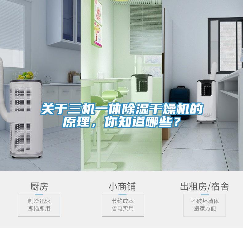 關(guān)于三機一體除濕干燥機的原理，你知道哪些？