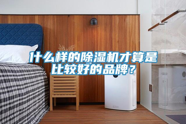 什么樣的除濕機才算是比較好的品牌？