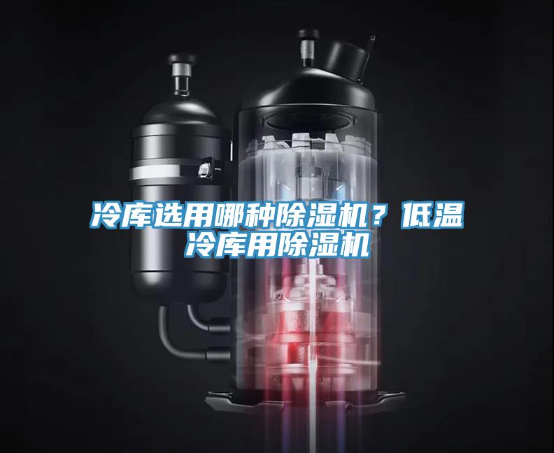 冷庫選用哪種除濕機(jī)？低溫冷庫用除濕機(jī)