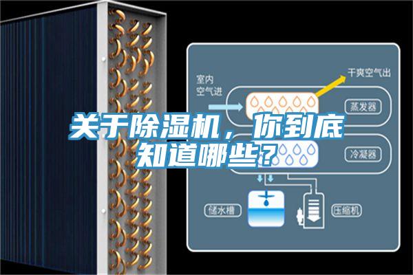 關(guān)于除濕機，你到底知道哪些？