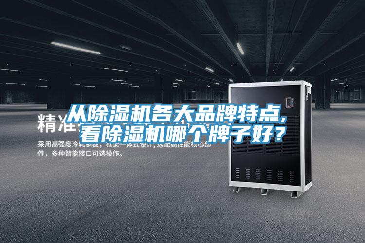 從除濕機(jī)各大品牌特點(diǎn), 看除濕機(jī)哪個(gè)牌子好？