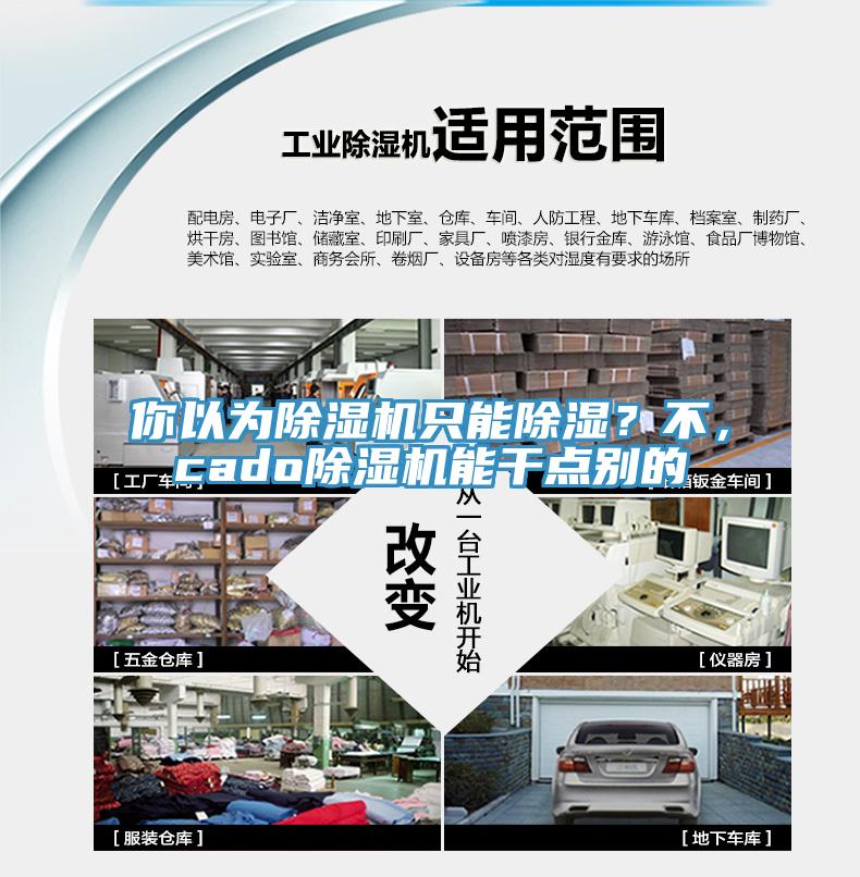 你以為除濕機只能除濕？不，cado除濕機能干點別的